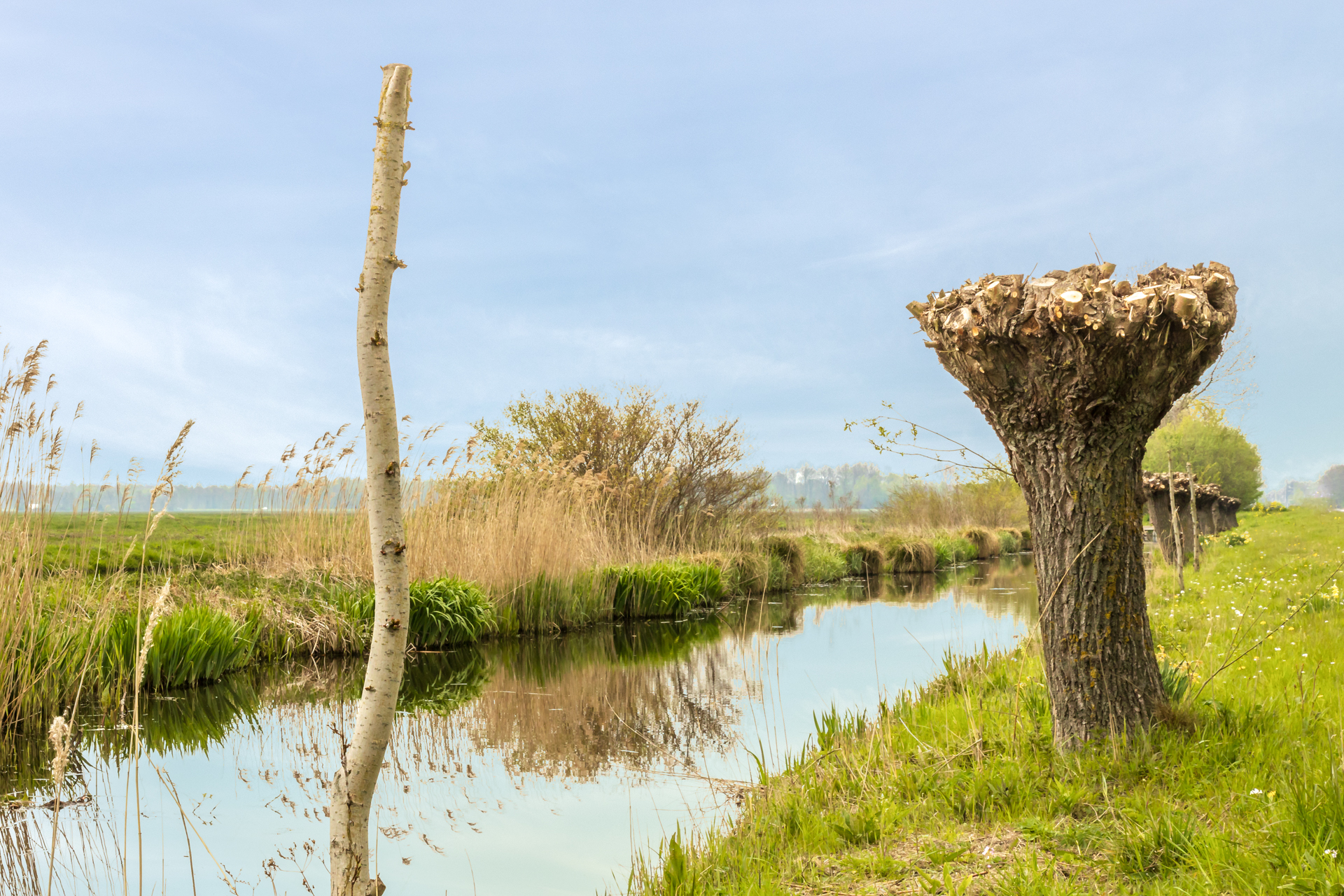 Foto bomen aan rivier bij blog door coach voor eigenwaarde rust en kracht "Gun jezelf rust