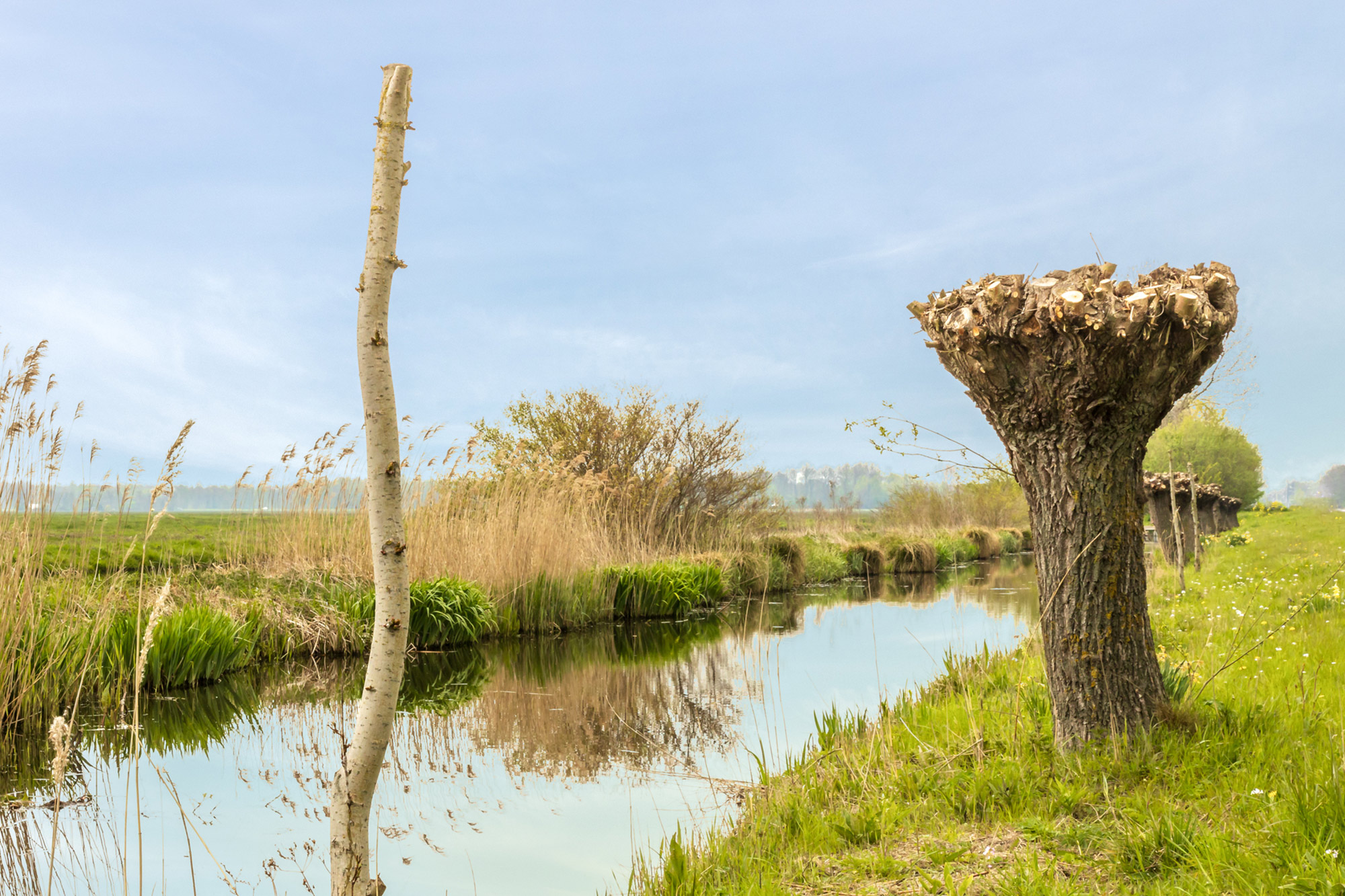 workshop coach voor rust, kracht, eigenwaarde Krimpen aan den IJssel