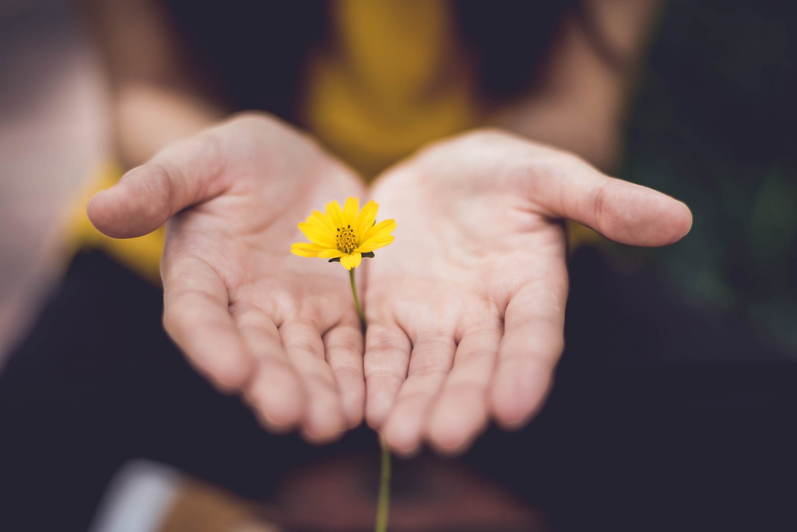 Bloem in hand. Coachingsworkshop over hoe je je gevoel en je leven meer in de hand kunt nemen.