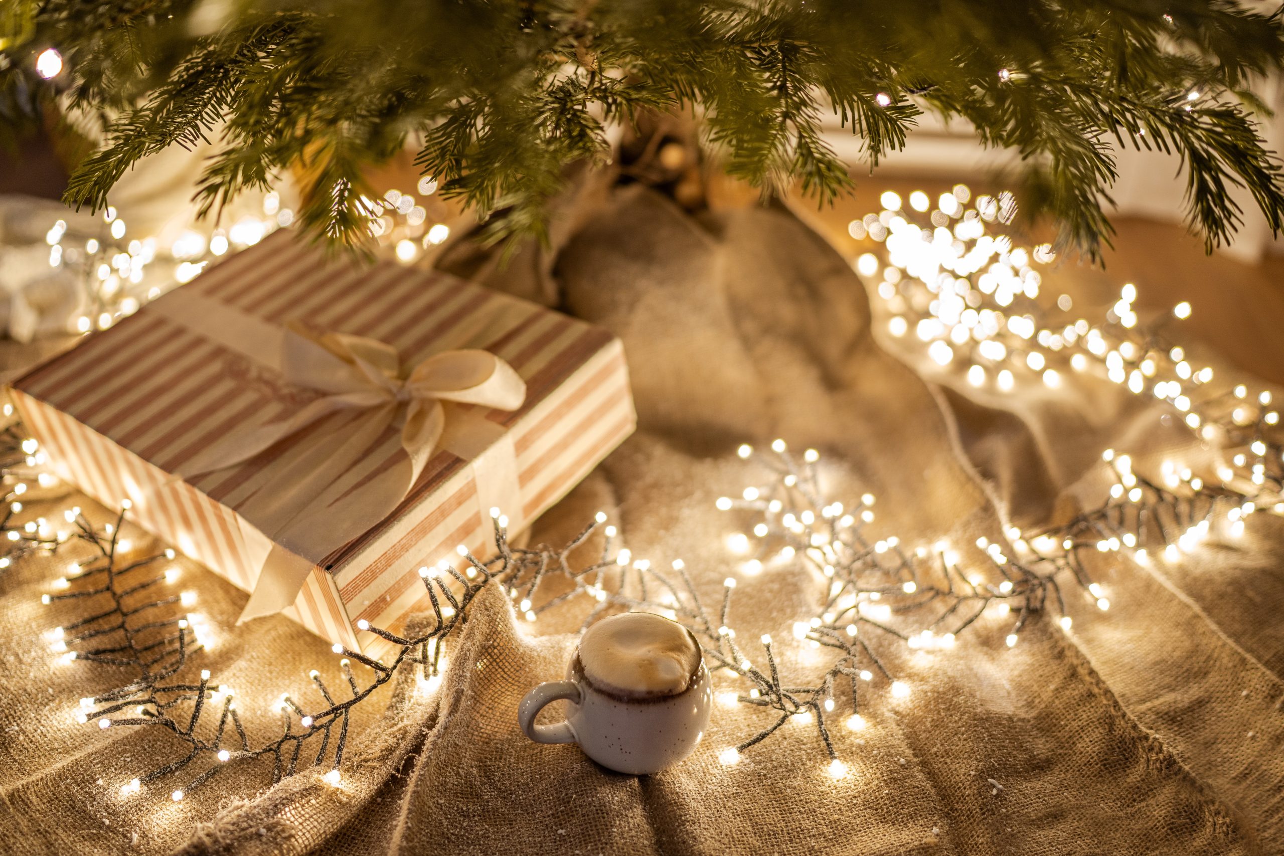 Kerstcadeau en lichtjes bij bericht over gratis Kracht voor kerst week door coach / onlinecoach voor eigenwaarde, rust en kracht.